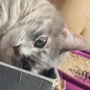 Meet your Posher, Zee